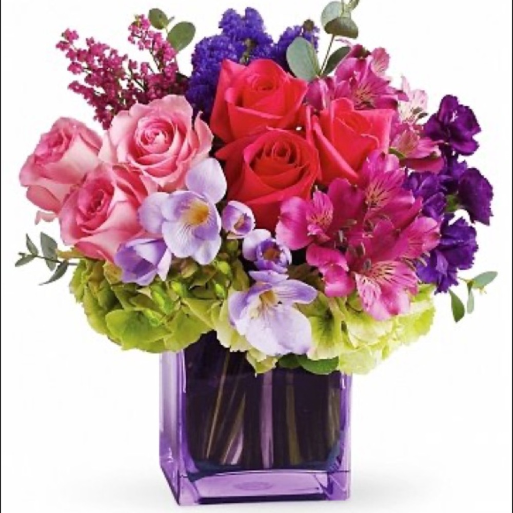 Meet your Posher, Nikita